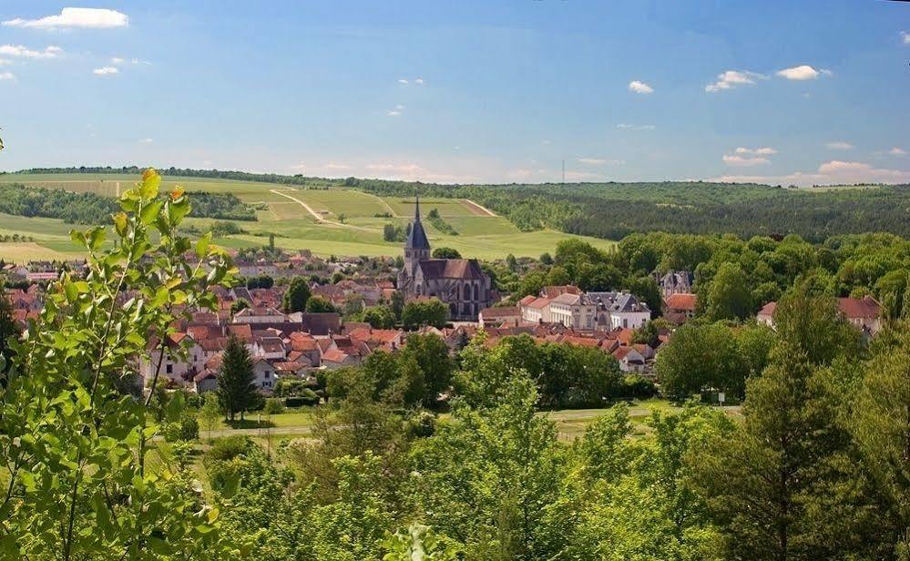 La Promenade En Champagne Bed & Breakfast Mussy-sur-Seine ภายนอก รูปภาพ