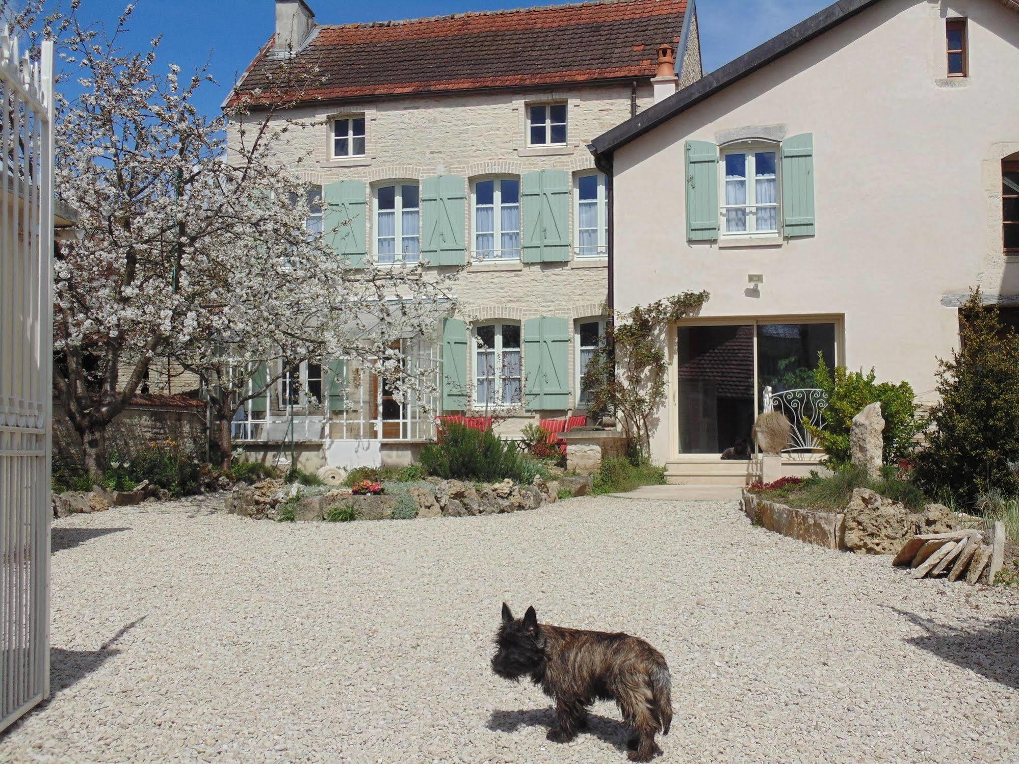 La Promenade En Champagne Bed & Breakfast Mussy-sur-Seine ภายนอก รูปภาพ